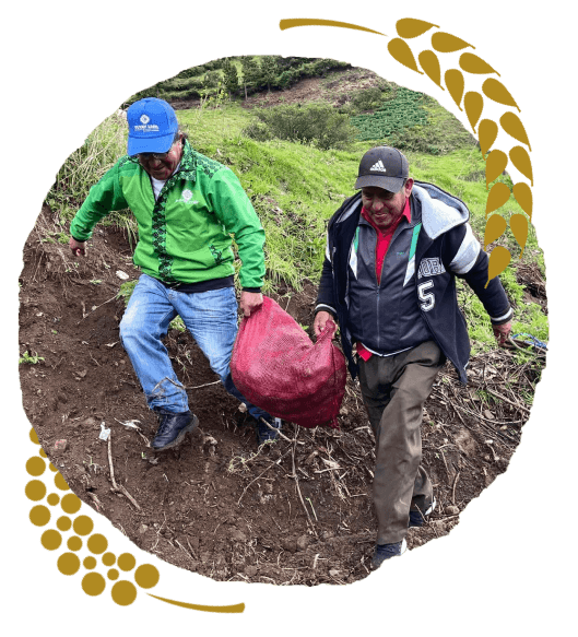 miembros de la organización mushuk yuyay trabajando