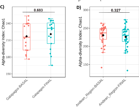 Figura 1: Comparación de la diversidad alfa en la microbiota fecal de escolares (gráficos de caja).