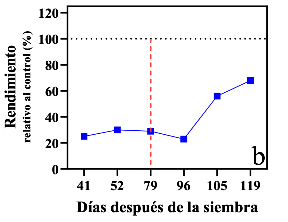 Figura 5: Rendimiento relativo con respecto al tratamiento control.