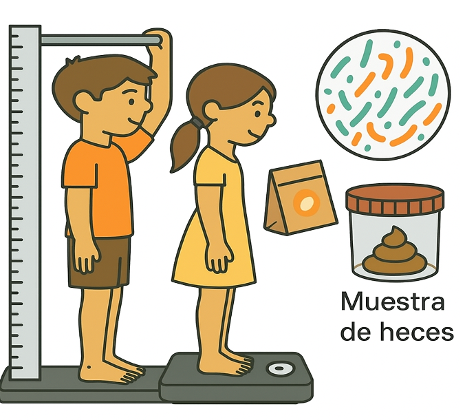 Diagrama de medición de niños y recolección de muestra de heces